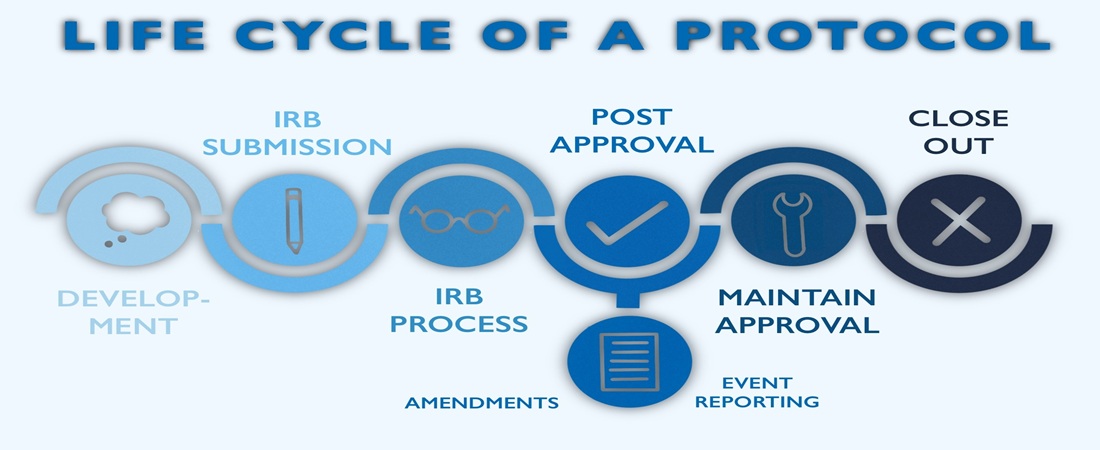IREB Life Cycle and protocol